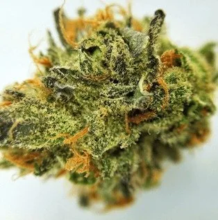 Buy Electric Lemon G Marijuana weed Online - Buy Marijuana Weed Online