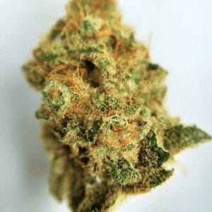 Brain Freeze Marijuana Colorado